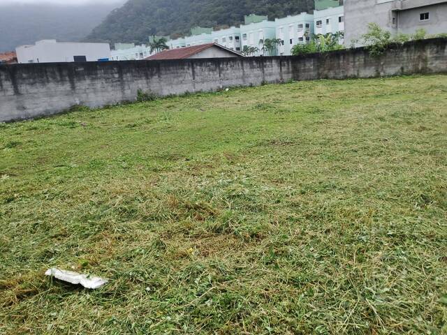 #1170 - Terreno para Venda em Ubatuba - SP - 3
