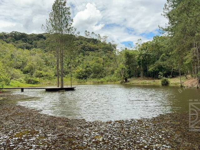 Sítio para Venda em Paraibuna - 5